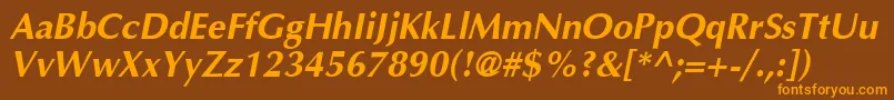 AgoptimacyrBoldoblique Font – Orange Fonts on Brown Background