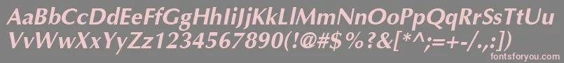 AgoptimacyrBoldoblique Font – Pink Fonts on Gray Background