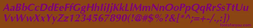 AgoptimacyrBoldoblique Font – Purple Fonts on Brown Background