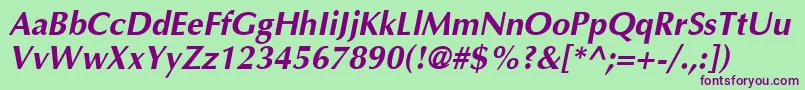 AgoptimacyrBoldoblique Font – Purple Fonts on Green Background