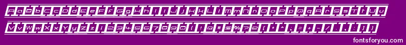 BorderBaseFutureItalic Font – White Fonts on Purple Background