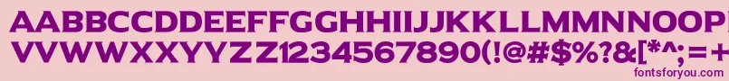 UniversalSerif Font – Purple Fonts on Pink Background