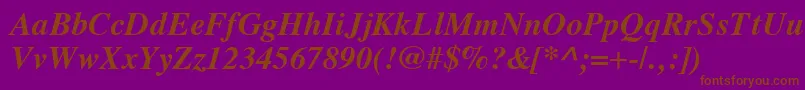 VremyaBoldItalic Font – Brown Fonts on Purple Background