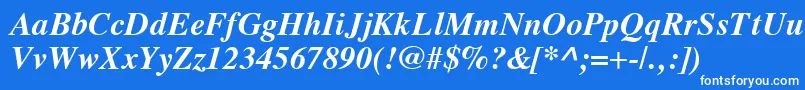 VremyaBoldItalic Font – White Fonts on Blue Background