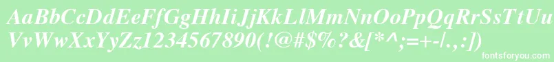 VremyaBoldItalic Font – White Fonts on Green Background