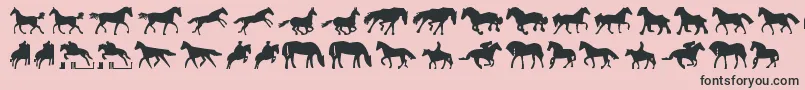 Horses1-Schriftart – Schwarze Schriften auf rosa Hintergrund