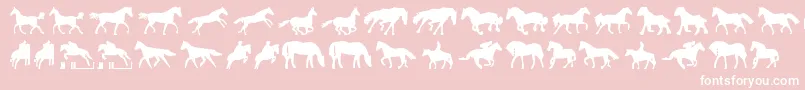 Horses1 Font – White Fonts on Pink Background