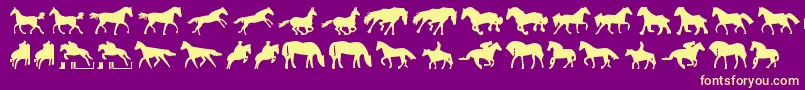 Fonte Horses1 – fontes amarelas em um fundo roxo