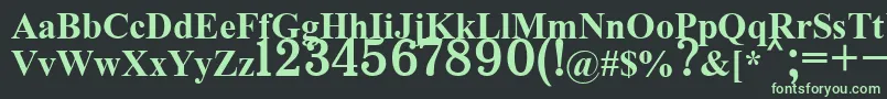 フォントCh132bold – 黒い背景に緑の文字
