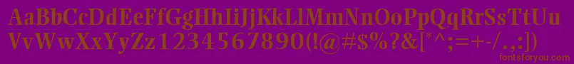 EllingtonMtBold Font – Brown Fonts on Purple Background