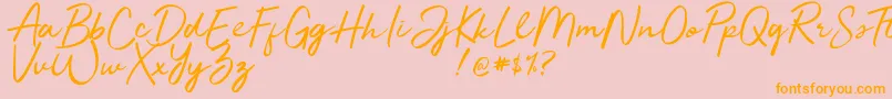 Jelytta Font – Orange Fonts on Pink Background