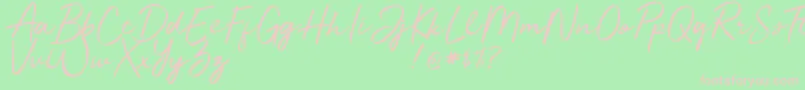 Jelytta Font – Pink Fonts on Green Background