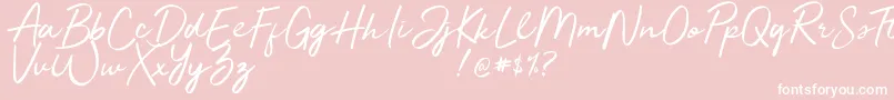 Jelytta Font – White Fonts on Pink Background