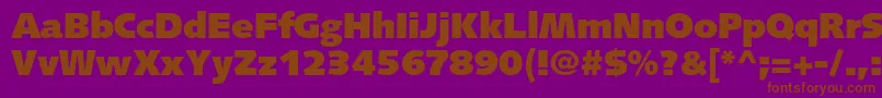 SyntaxltstdUltrablack Font – Brown Fonts on Purple Background