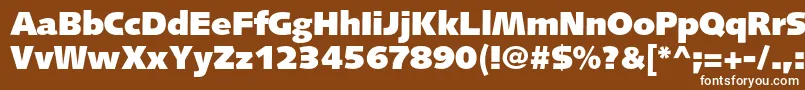 SyntaxltstdUltrablack Font – White Fonts on Brown Background