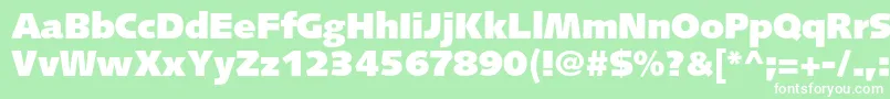 SyntaxltstdUltrablack Font – White Fonts on Green Background