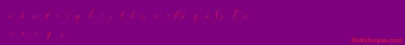 Sweetpattersondemo Font – Red Fonts on Purple Background