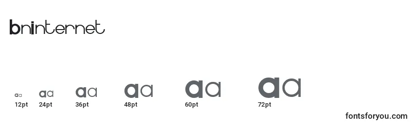 BnInternet Font Sizes