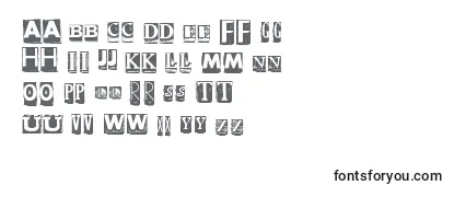 DzrInscription Font