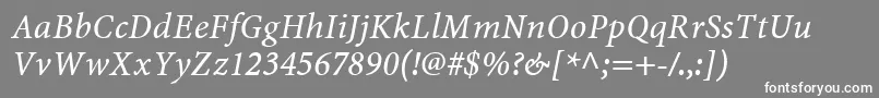 MinionwebproItalic Font – White Fonts on Gray Background