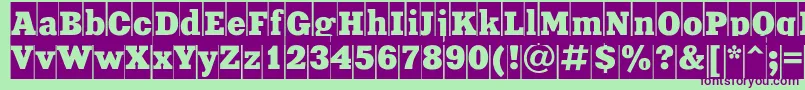 XeniacameocRegular-Schriftart – Violette Schriften auf grünem Hintergrund