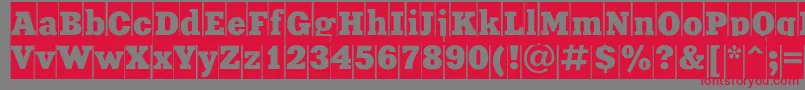 XeniacameocRegular Font – Red Fonts on Gray Background