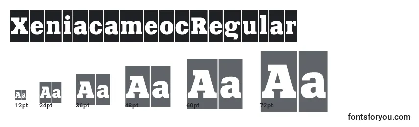 XeniacameocRegular Font Sizes