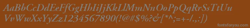 AdobeGaramondLtSemiboldItalic Font – Gray Fonts on Brown Background