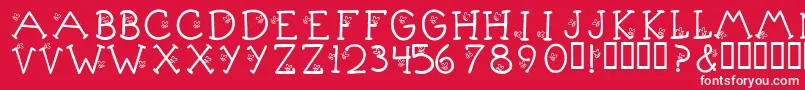 KrLittleBuzz Font – White Fonts on Red Background