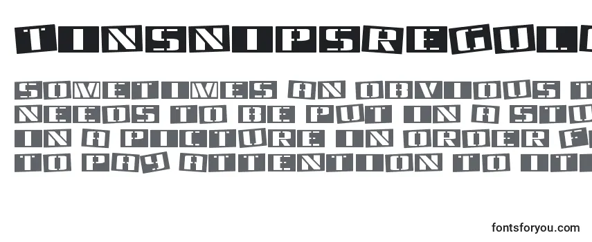TinsnipsRegular Font