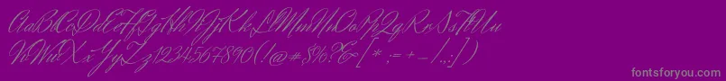 HerrVonMuellerhoff-Schriftart – Graue Schriften auf violettem Hintergrund