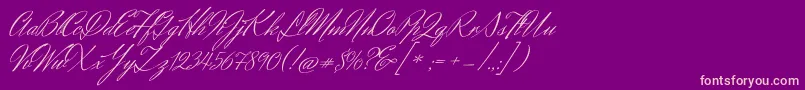 HerrVonMuellerhoff Font – Pink Fonts on Purple Background