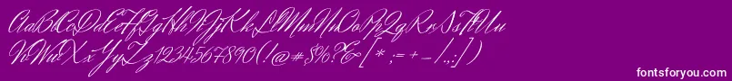 HerrVonMuellerhoff Font – White Fonts on Purple Background