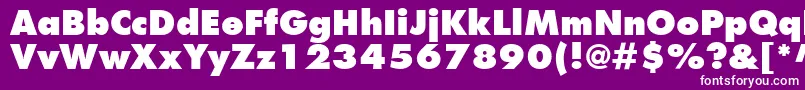 フォントFuturaLtExtraBold – 紫の背景に白い文字