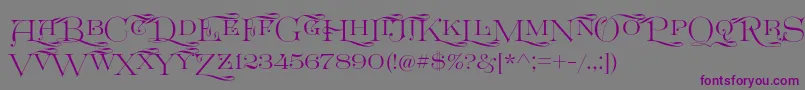 Шрифт GreatvictorianSwashedsc – фиолетовые шрифты на сером фоне