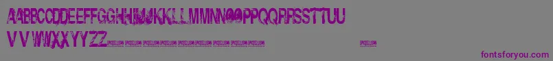 InsolentBastards-fontti – violetit fontit harmaalla taustalla