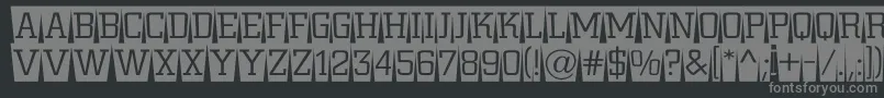 ACitynovattlcmswlt Font – Gray Fonts on Black Background