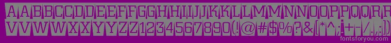 ACitynovattlcmswlt Font – Gray Fonts on Purple Background