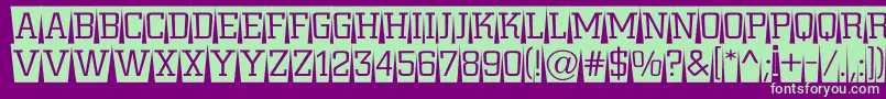 ACitynovattlcmswlt Font – Green Fonts on Purple Background