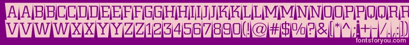 ACitynovattlcmswlt Font – Pink Fonts on Purple Background