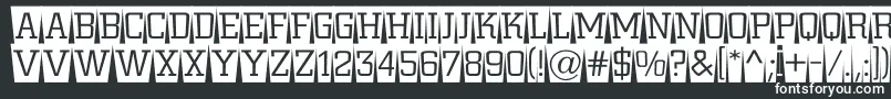 Шрифт ACitynovattlcmswlt – белые шрифты на чёрном фоне
