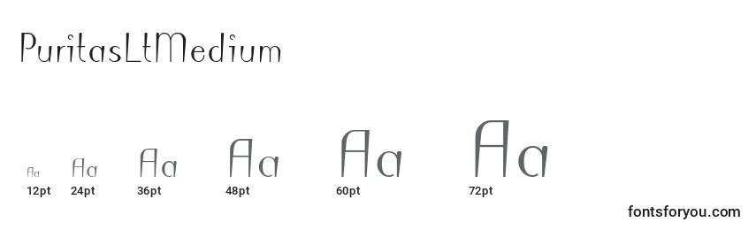 PuritasLtMedium Font Sizes