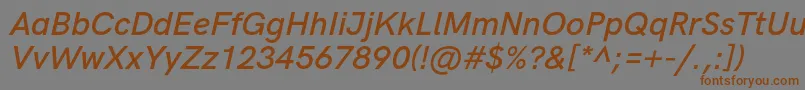 HkgroteskSemiboldlegacyitalic Font – Brown Fonts on Gray Background
