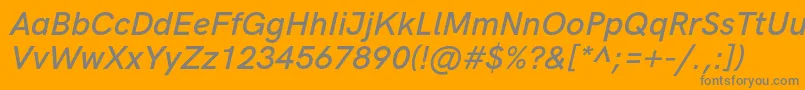 HkgroteskSemiboldlegacyitalic Font – Gray Fonts on Orange Background