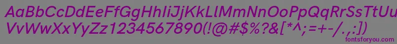 HkgroteskSemiboldlegacyitalic Font – Purple Fonts on Gray Background
