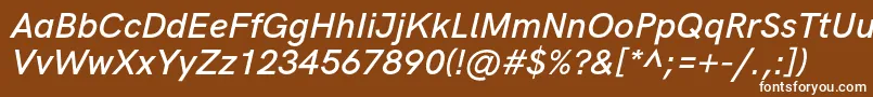 HkgroteskSemiboldlegacyitalic Font – White Fonts on Brown Background