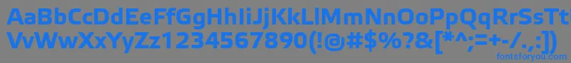 ElektraTextProBold Font – Blue Fonts on Gray Background