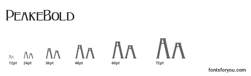 PeakeBold Font Sizes