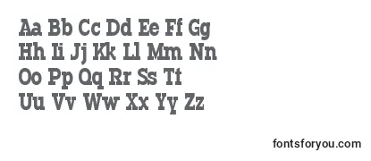 TypodermicRegular-fontti