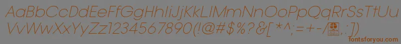 Czcionka TypoGotikaLightItalicDemo – brązowe czcionki na szarym tle